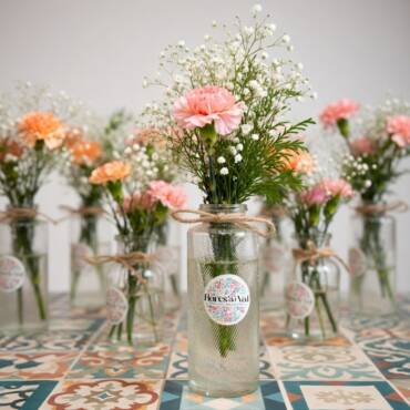 Claveles y paniculata