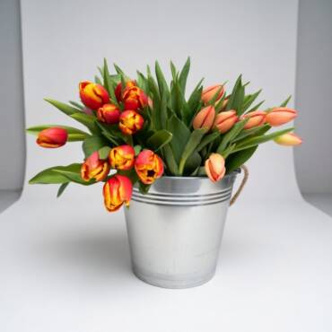Tulipanes en naranja